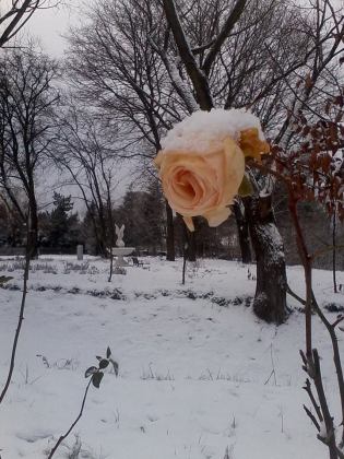 kraina_magdaleny1112