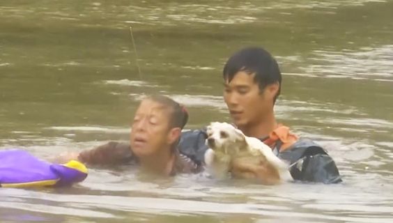 Anioł w ludzkiej postaci 5