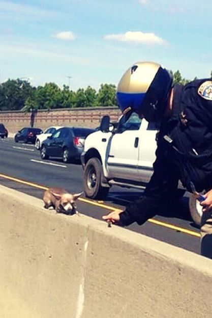 Anioł w ludzkiej postaci 6