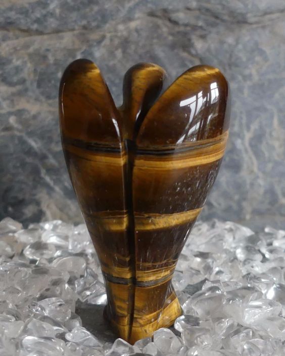 Aniol tygrysie oko 2