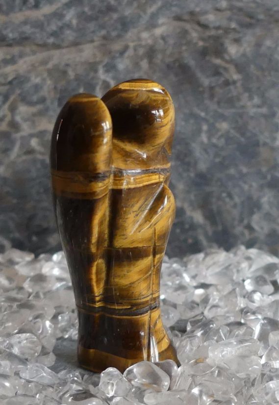 Aniol tygrysie oko 3