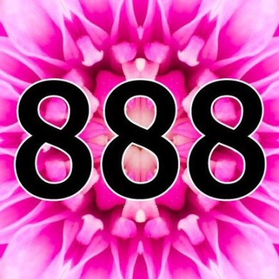 Aniol liczby 888