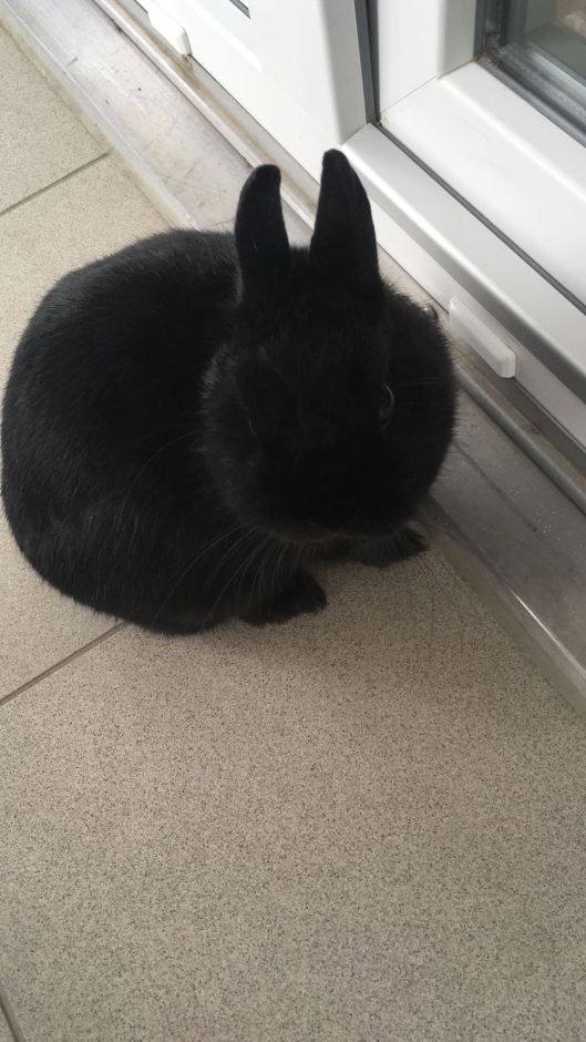 IMG-20180718-WA0010[1]