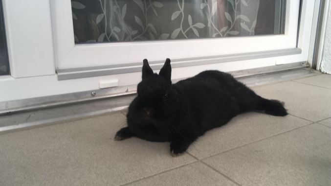 IMG-20180718-WA0015[1]