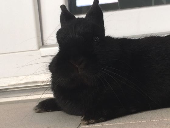 IMG-20180718-WA0018[1]