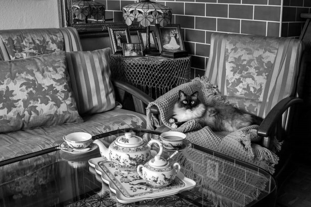 Konkurs - Ewelinka 1